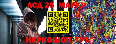 дурь Берёзовский