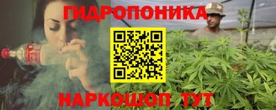 дурь Берёзовский